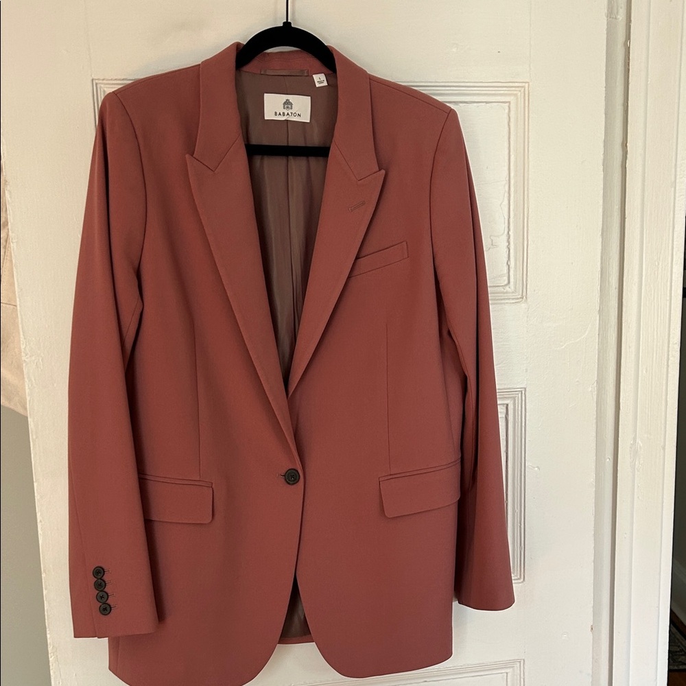 Aritzia Babaton Concept Blazer, Red Willow aka Dusty Pink